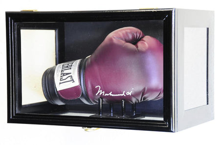 Boxing Display Cases - sfDisplay.com