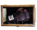 Boxing Glove Display Case (Wall Mounting/Free Standing) - sfDisplay.com